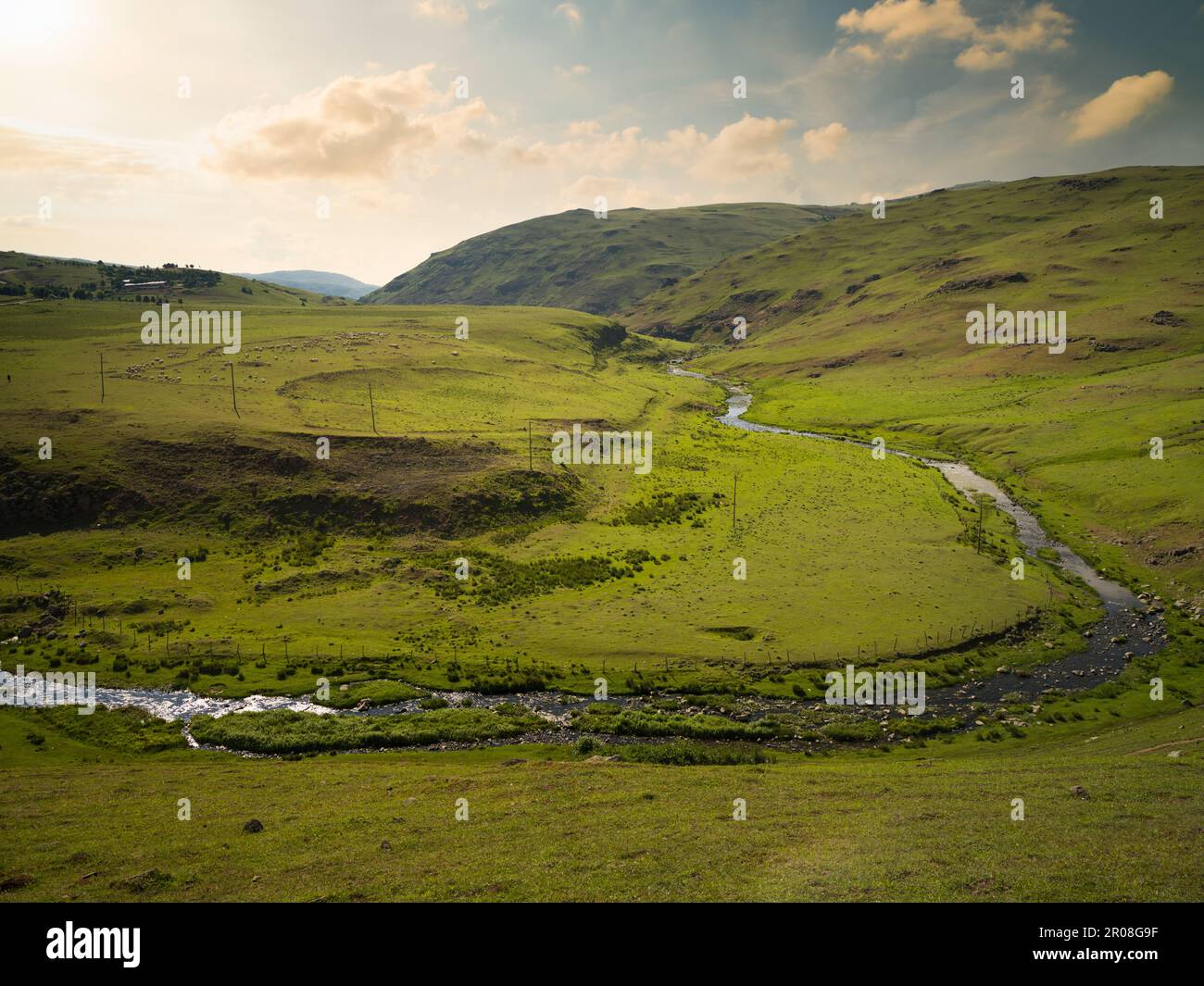 Auf dem Persembe-Plateau. Sommer ist Highland-Zeit. Schwarzmeerregion. Aybasti, Ordu Stadt, Türkei Stockfoto