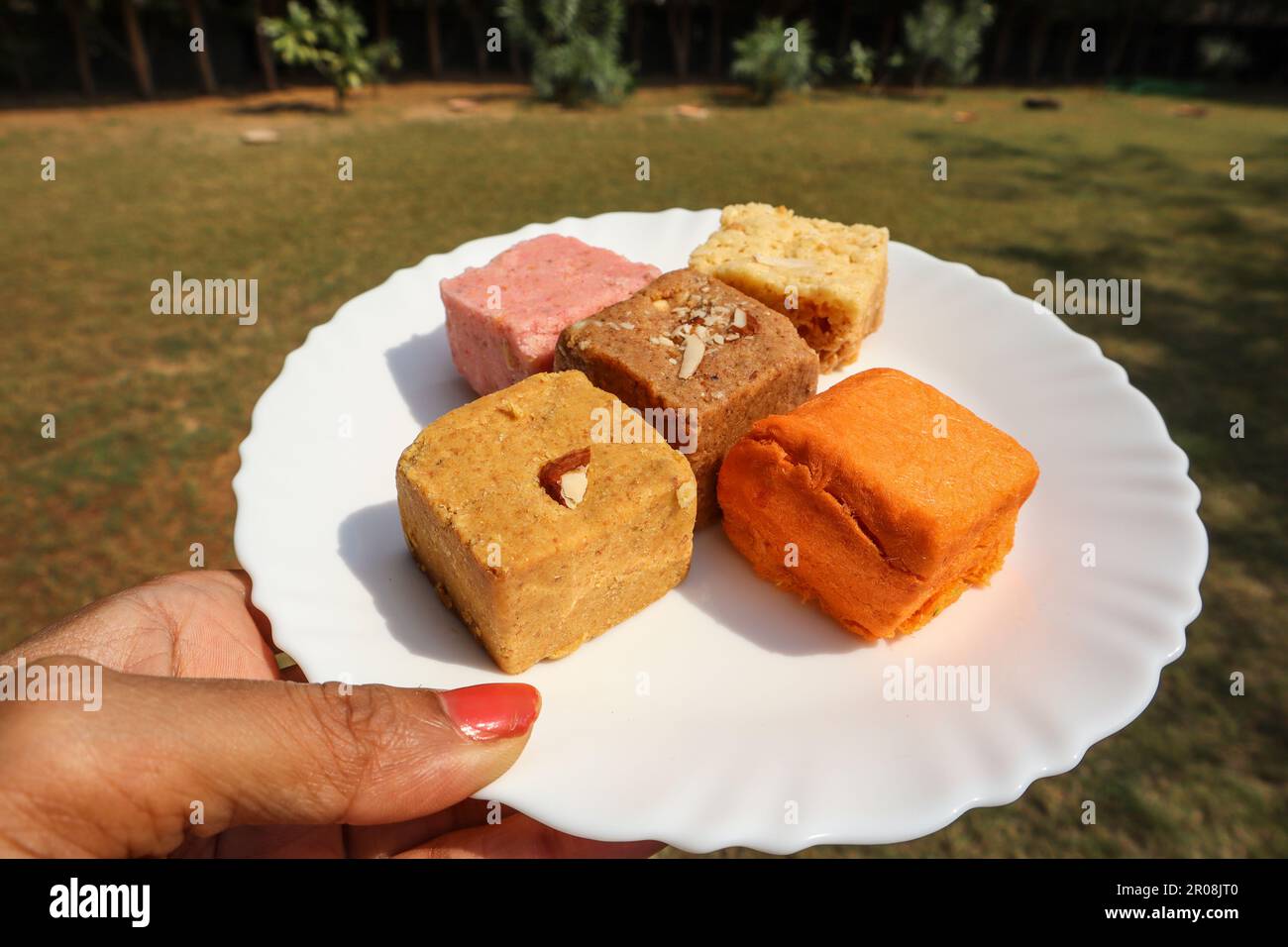 Eine Frau, die indische Süßigkeiten wie Barfi, soan Papdi und verschiedene Geschmacksrichtungen hält Stockfoto