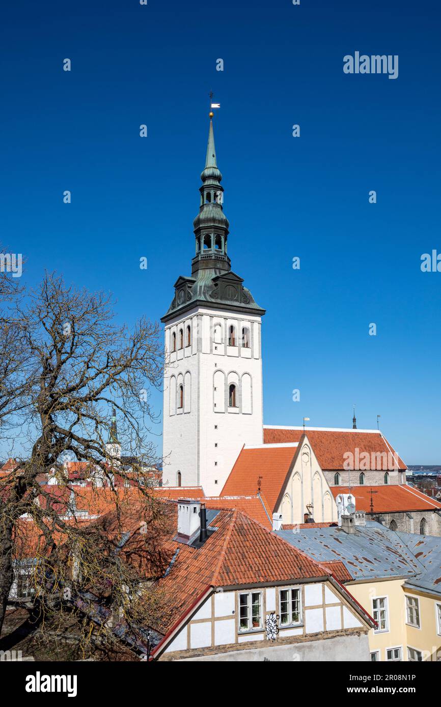 Der Glockenturm von St. Nicholas-Kirche oder Niguliste Kirik vor klarem blauen Himmel an einem sonnigen Frühlingstag in Vanalinn, der Altstadt von Tallinn, Estland Stockfoto
