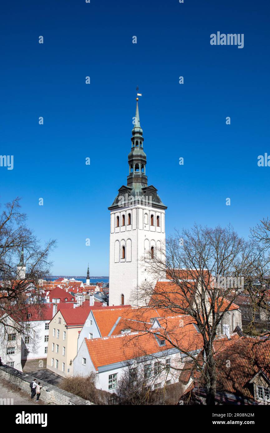 St. Nicholas-Kirche oder Niguliste Kirk Belfry über der Altstadt oder den Dächern von Vanalinn an einem sonnigen Frühlingstag in Tallinn, Estland Stockfoto