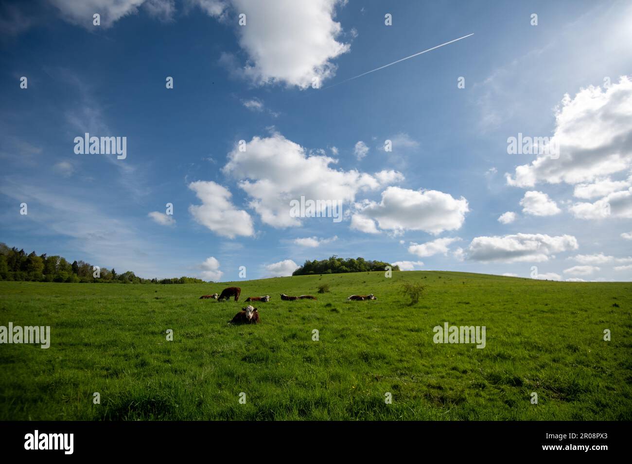 Wittenham-Klumpen Stockfoto