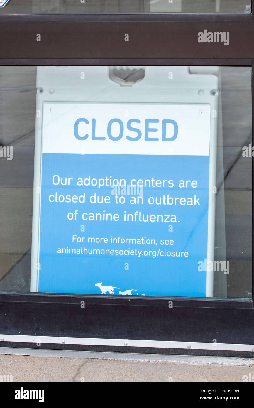 Woodbury, Minnesota. Tierhumane Gesellschaft geschlossen durch Hundegrippe. Die Hundegrippe ist eine ansteckende Atemwegserkrankung bei Hunden, die durch verursacht wird Stockfoto