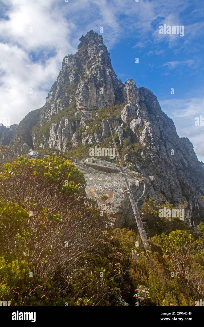 Blick auf die weiße Nadel vom Barron Pass auf dem Weg zum Frenchmans Cap Stockfoto