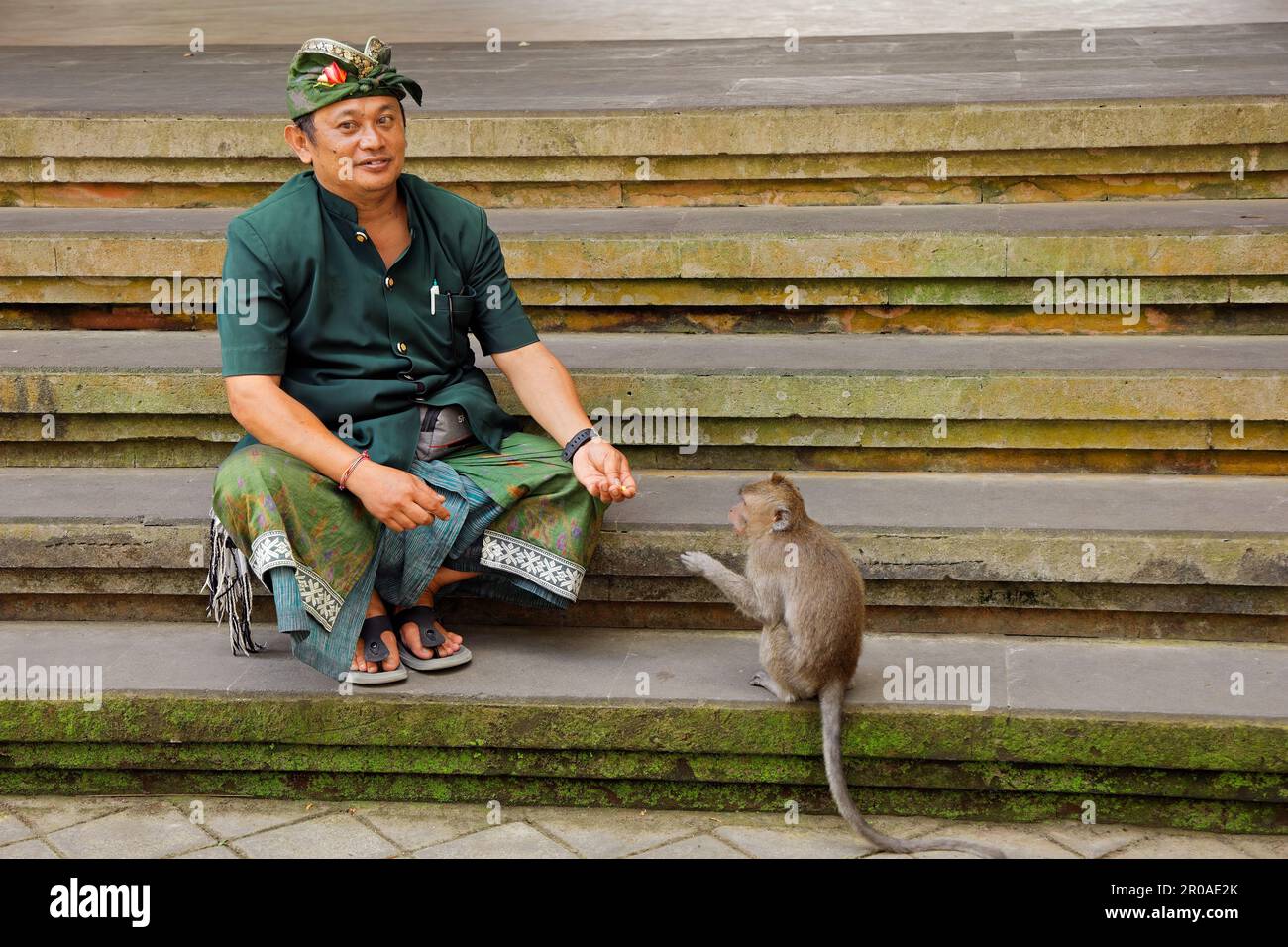 Ubud, Bali, Indonesien - September 6: Offizielle Affenwache mit kleinem Affen im heiligen Affenschutzwald - eine beliebte Touristenattraktion Stockfoto