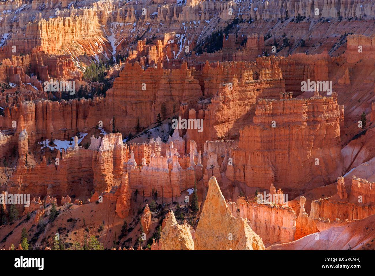 Die Sonne erhellt die spektakulären Türme und Hoodoos im Amphitheater im Bryce Canyon National Park, Bryce Canyon City, Garfield County, Utah, Stockfoto