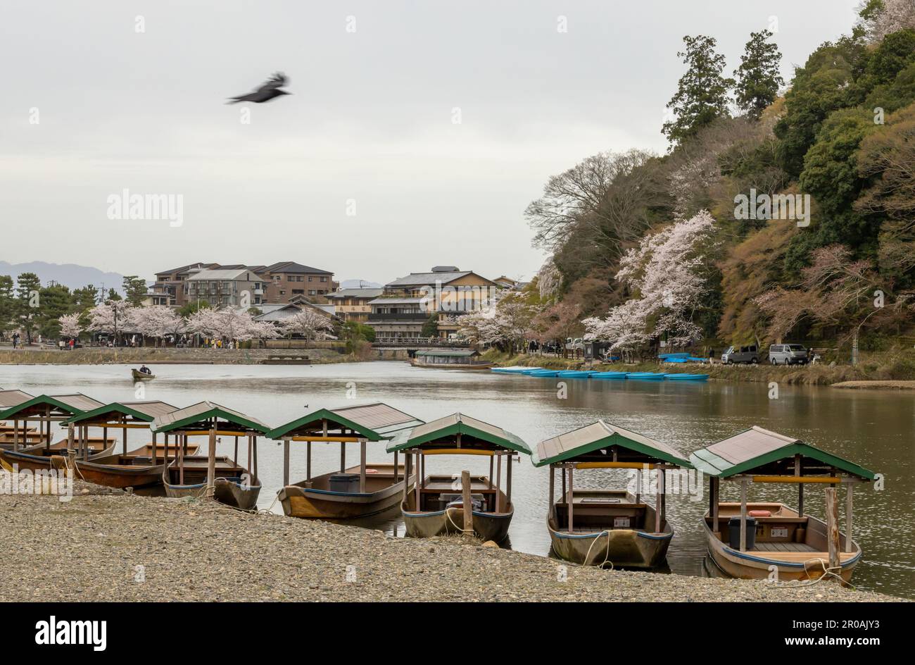 Boote auf dem Katsura River im wunderschönen Kameyama Park in Arashiyama, Kyoto, Japan Stockfoto