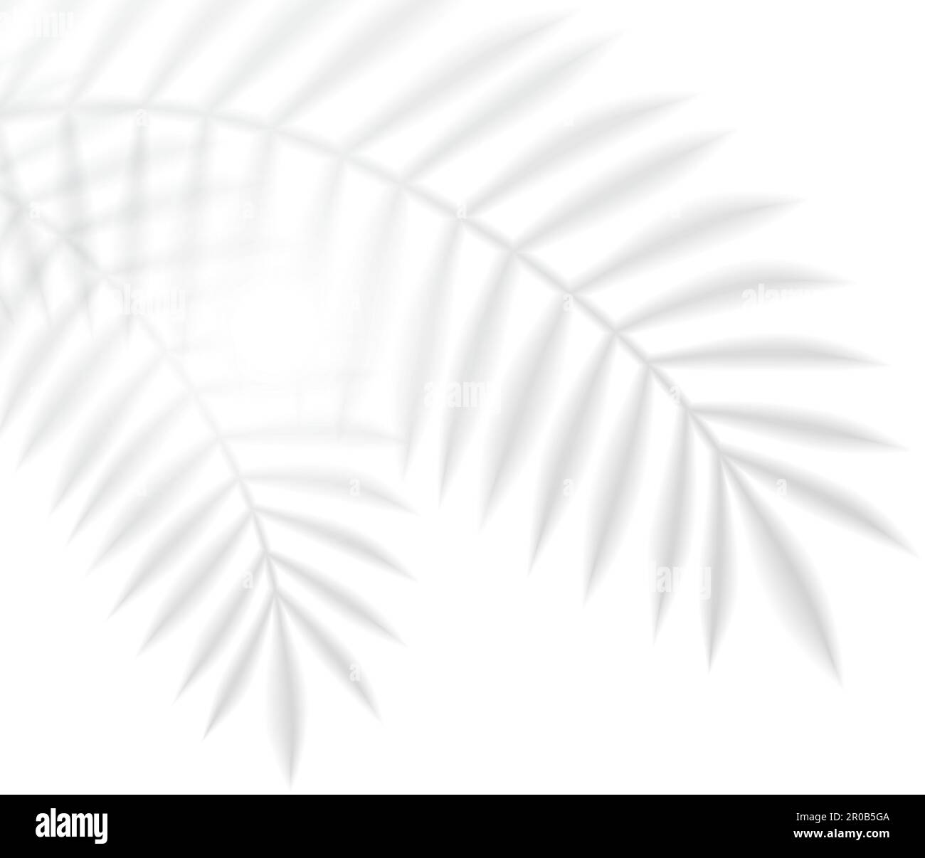 Vector Palm Leaf Shadow (Vektor-Palmenblatt-Schatten), Der Mit Textabstand Auf Die Wand Geworfen Wird. Stock Vektor