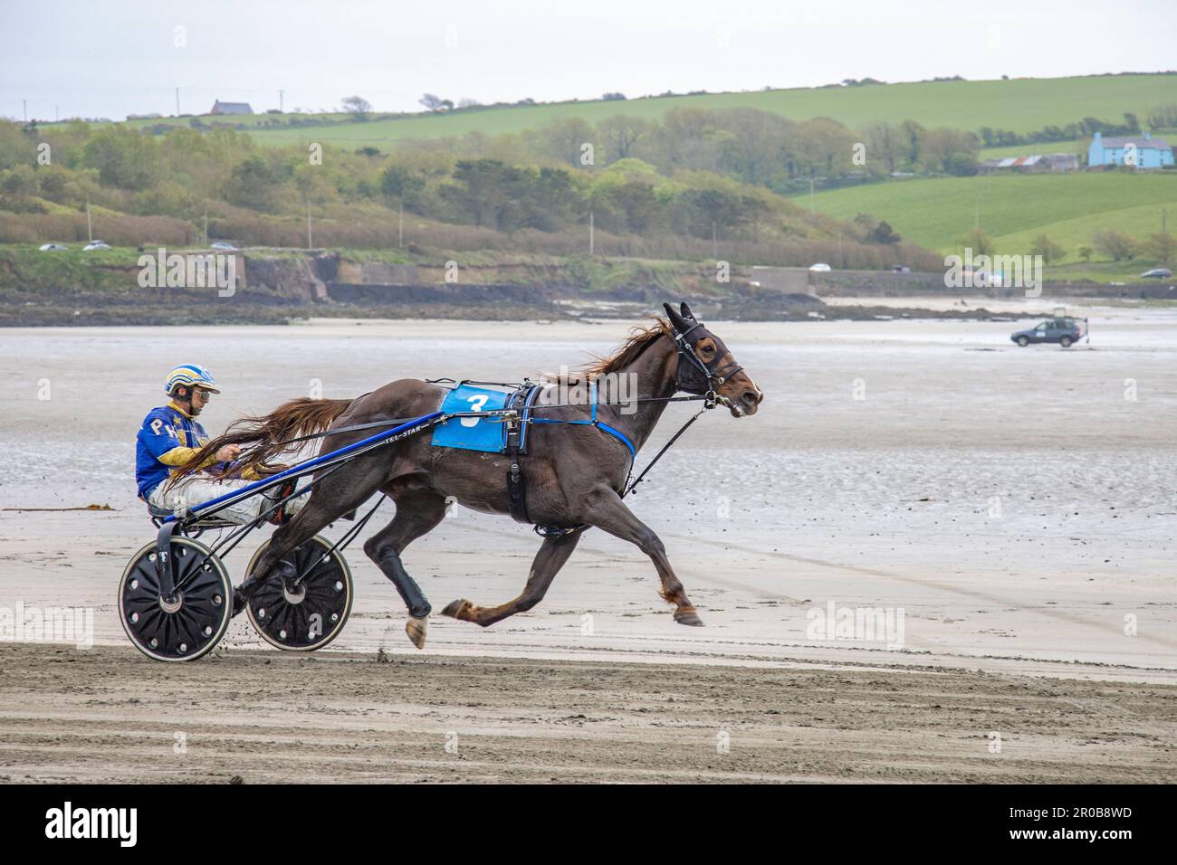 Trabrennen am Harbour View Beach, Kilbrittain, Co. Cork. Mai 2023 Stockfoto