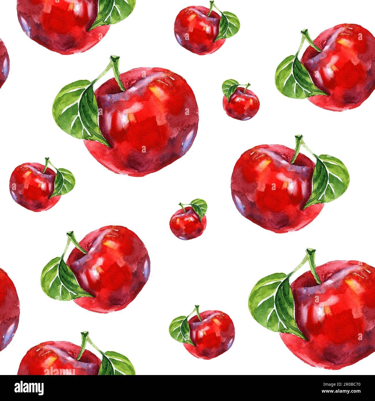 Wasserfarbener, Sommer isolierter roter Apfel auf weißem Hintergrund. Stockfoto
