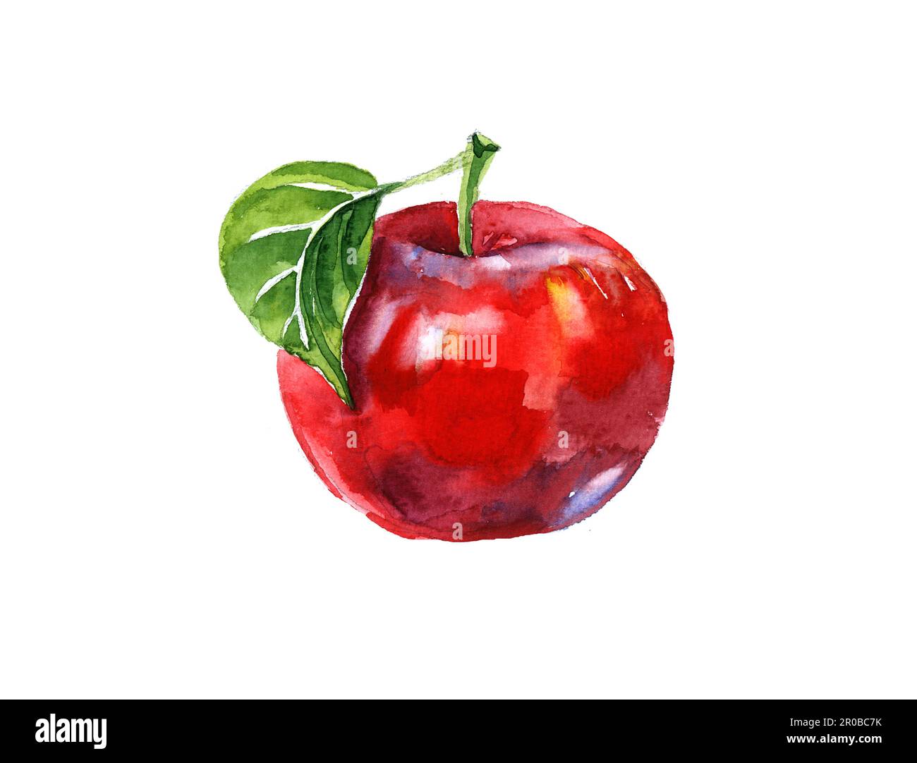Wasserfarbener, Sommer isolierter roter Apfel auf weißem Hintergrund. Stockfoto