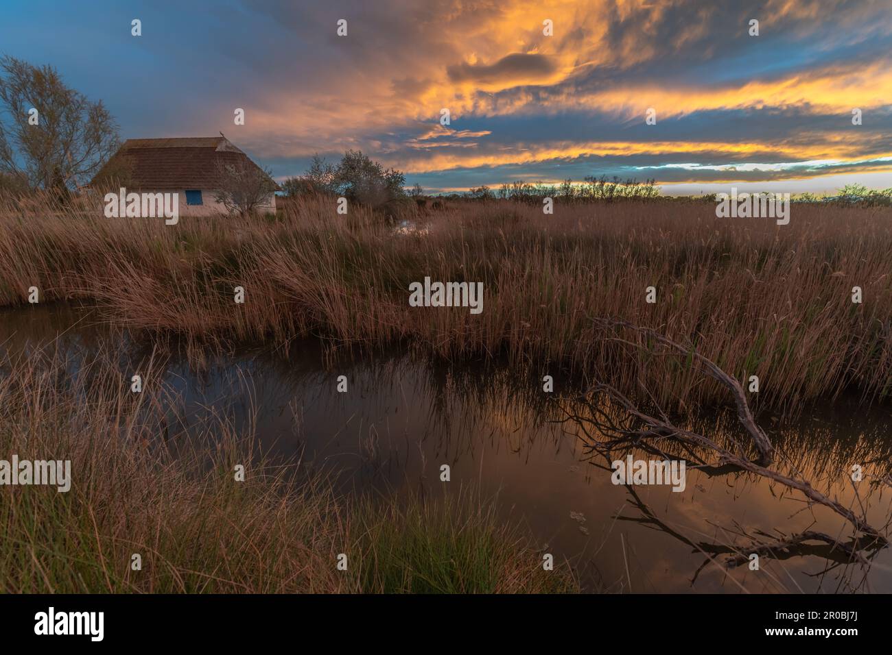 Strohhütte Gardians Hütte in den Sümpfen bei Sonnenuntergang. Saintes Maries de la Mer, Parc naturel regional de Camargue, Arles, Bouches du Rhone, Provence Al Stockfoto