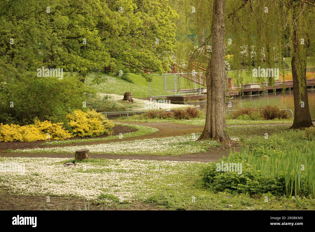 Hanley Park in Stoke-on-Trent Stockfoto