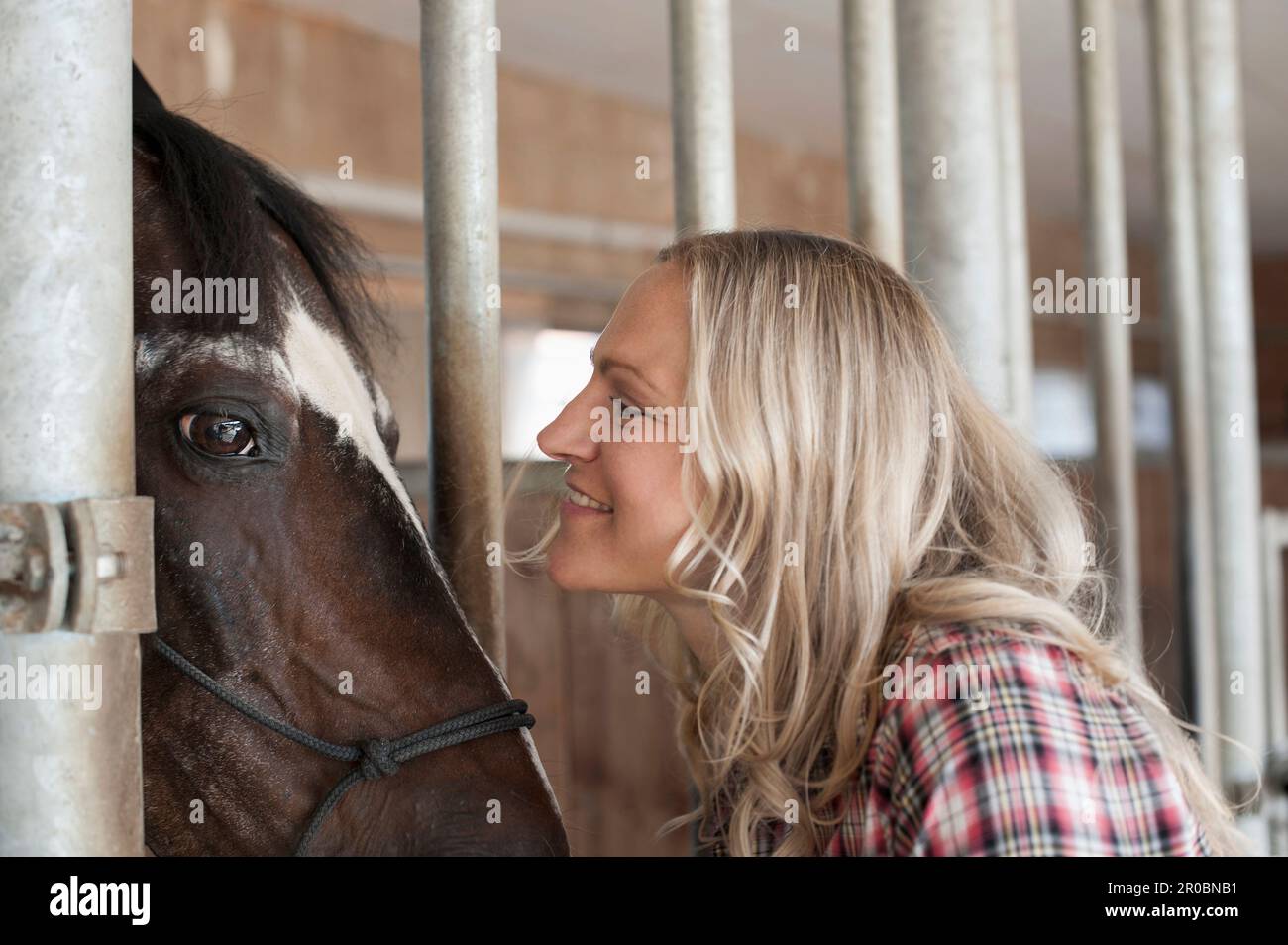 Mittelgroße Erwachsene Frau von Angesicht zu Angesicht mit einem Pferd in der Scheune und lächelndem Gesicht, Bayern, Deutschland Stockfoto