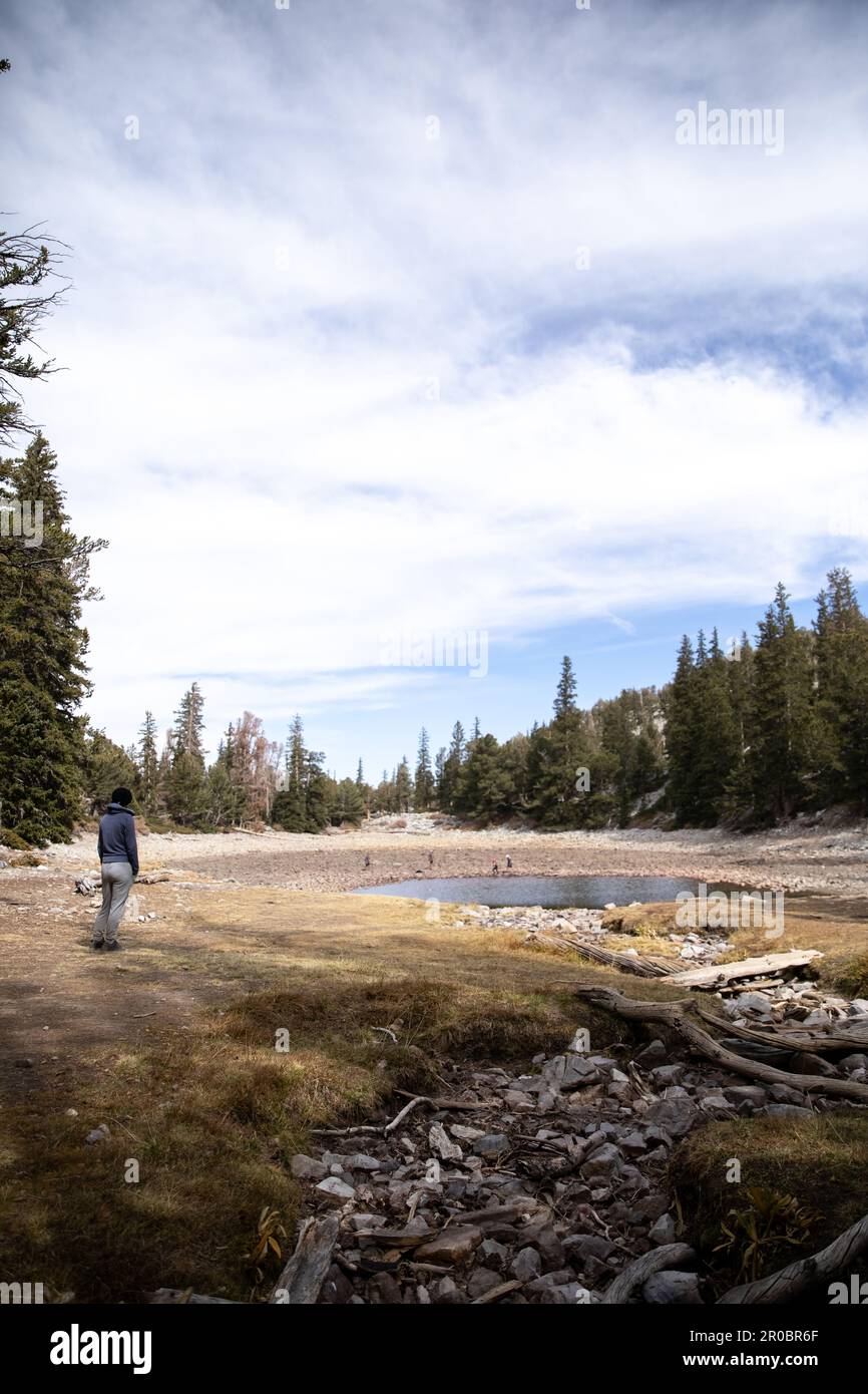 Touristen am abgeschiedenen See im Great Basin Nationalpark Stockfoto