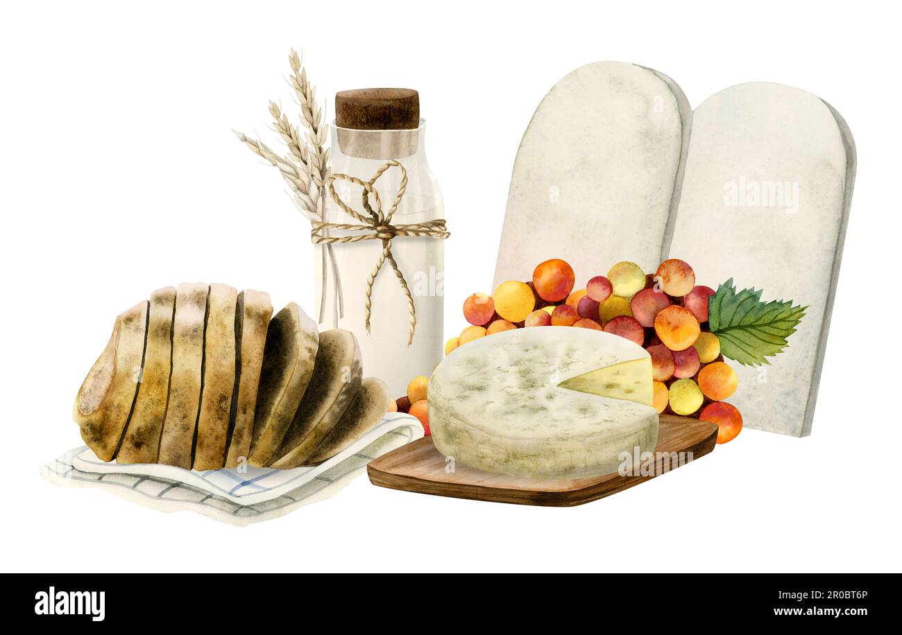 Aquarell Shavuot Grußkartenvorlage mit Weihnachtssymbolen, Steintafeln, Käse, Brot, Milch. Weizen, Trauben Stockfoto