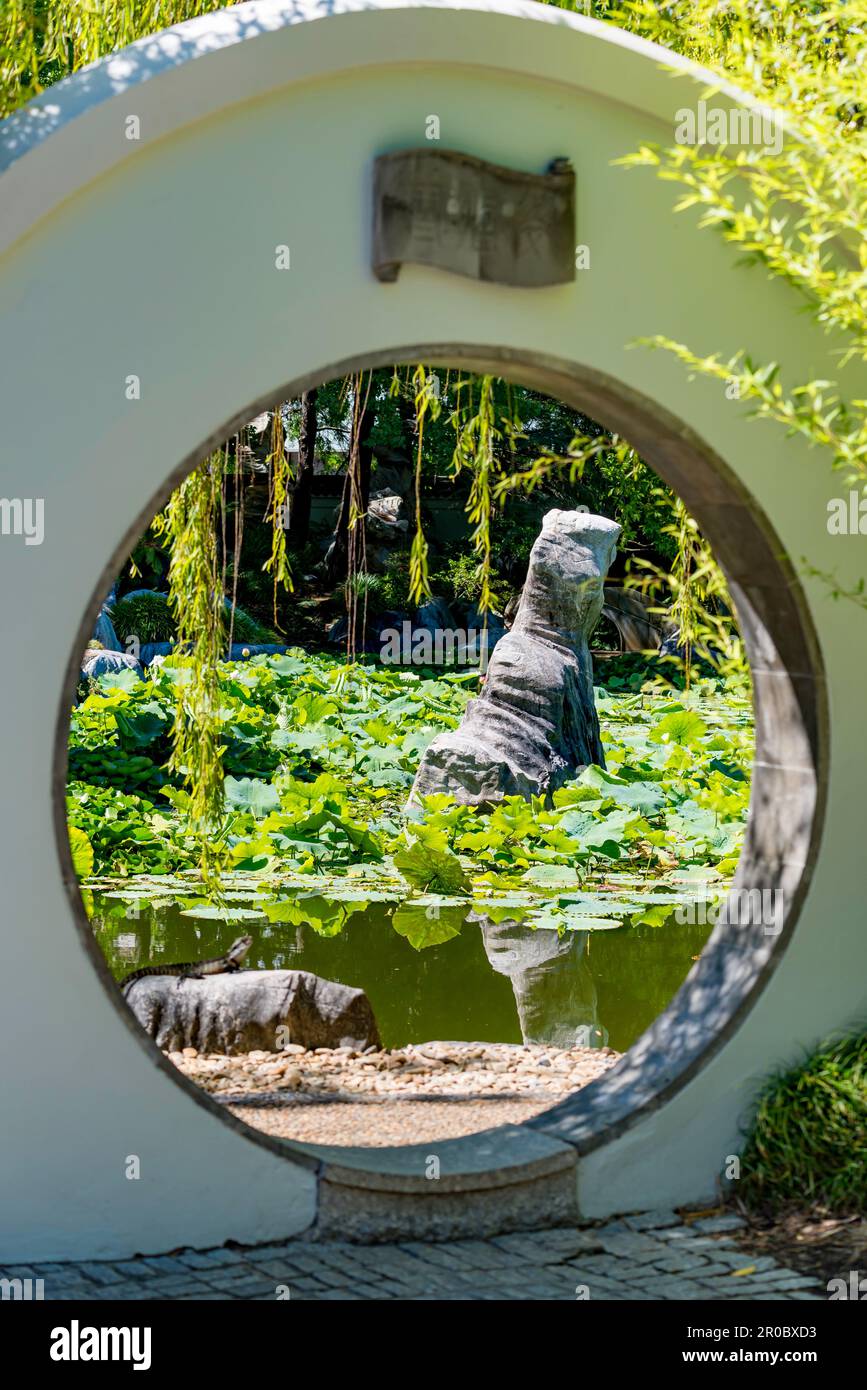 Das Mondtor im Chinese Gardens of Friendship in Sydney, Australien Stockfoto