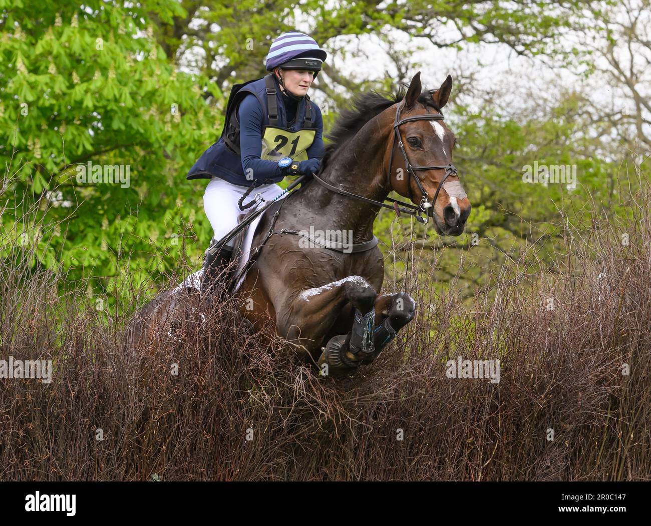 Badminton, Großbritannien. 07. Mai 2023. 07. Mai 2023 - Badminton Horse Trials - Cross-Country Test - Badminton - Gloucestershire Rose Nesbitt Rides EG Michealangelo während des Cross-Country Tests bei den Badminton Horse Trials. Bildkredit: Mark Pain/Alamy Live News Stockfoto