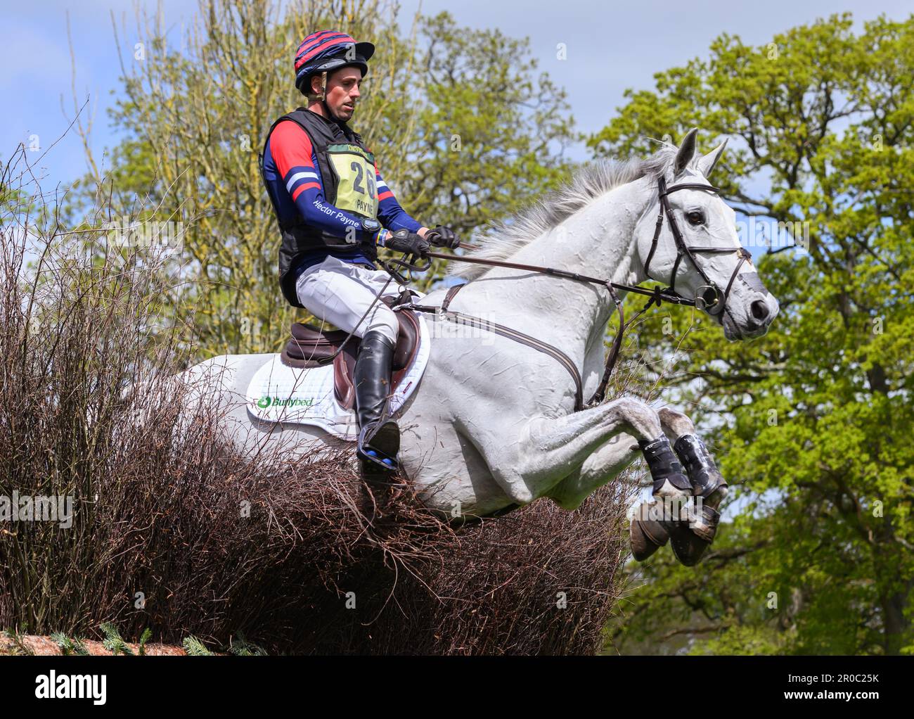 Badminton, Großbritannien. 07. Mai 2023. 07. Mai 2023 - Badminton Horse Trials - Cross-Country Test - Badminton - Gloucestershire Hector Payne Rides Dynastie während des Cross-Country Tests bei den Badminton Horse Trials. Bildkredit: Mark Pain/Alamy Live News Stockfoto