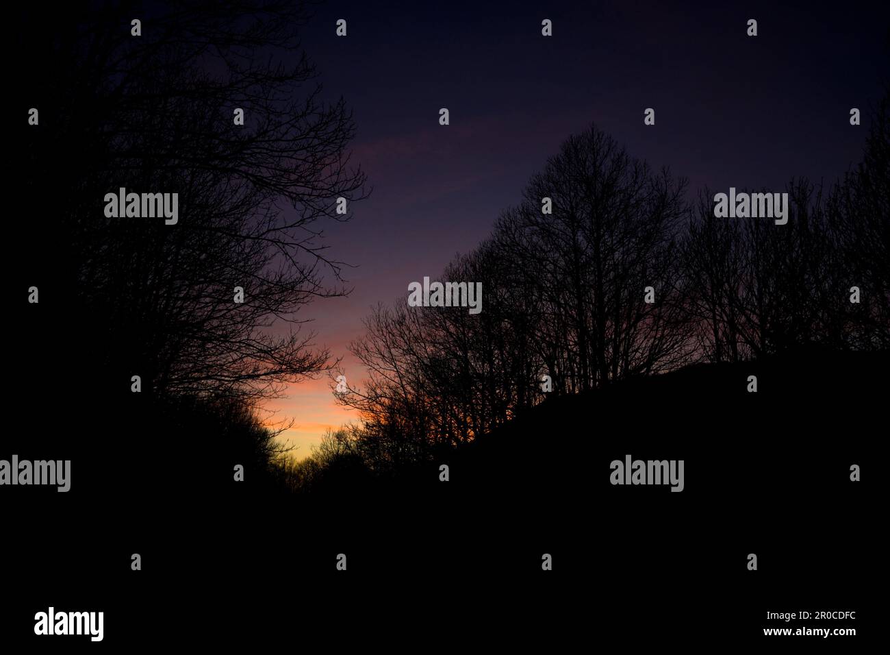 Silhouette von Bäumen bei Sonnenuntergang mit Himmel in sanften Farben in Magenta, Pink und Blau horizontal Stockfoto