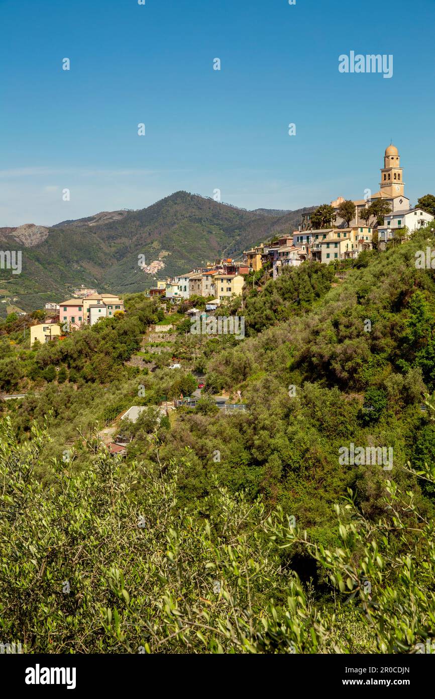 Lengaro bei Levanto in Cinque Terre, Ligurien, Italien Stockfoto