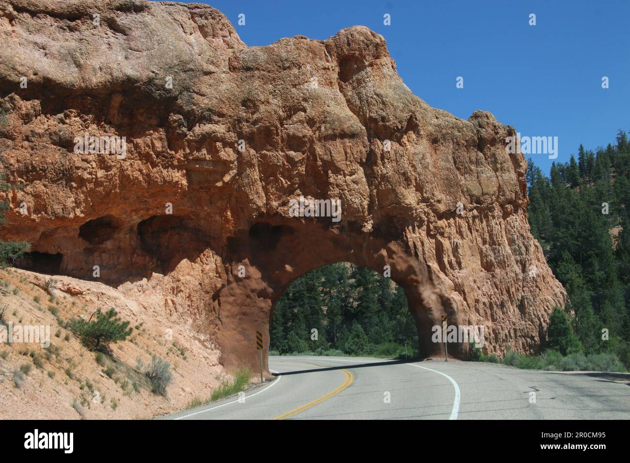 Zion National Park ist ein amerikanischer Nationalpark im Südwesten von Utah in der Nähe der Stadt Springdale. Stockfoto