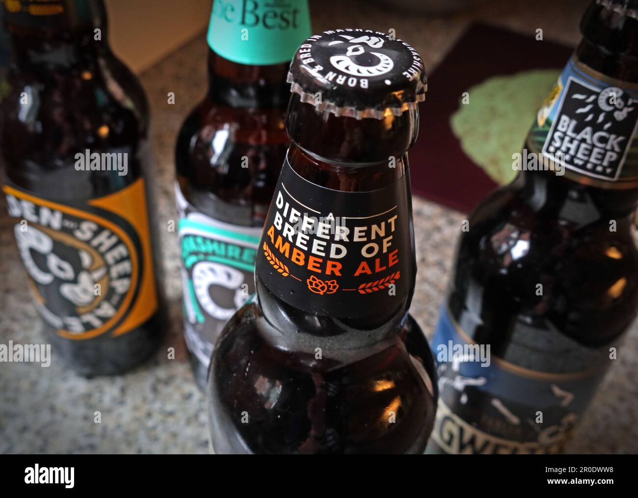 Abgefüllte Biere aus der Black Sheep Brewery, Wellgarth House, Wellgarth Court, Crosshills, Masham, Ripon, Yorkshire, England, HG4 4EN Stockfoto