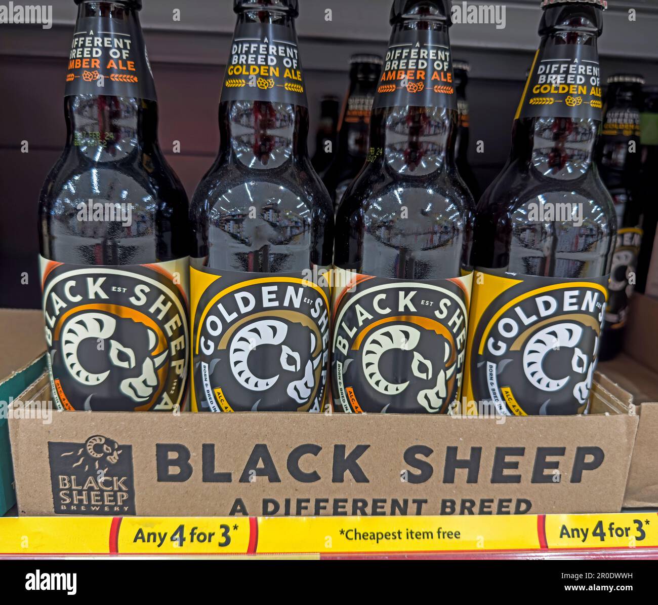 Abgefüllte Biere aus der Black Sheep Brewery, Wellgarth House, Wellgarth Court, Crosshills, Masham, Ripon, Yorkshire, England, HG4 4EN Stockfoto