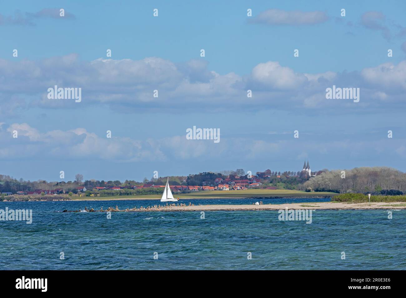 Segelboot, nördlichster Punkt des deutschen Festlands mit Blick auf Broager in Dänemark, Ostsee, Holnis-Halbinsel, Schleswig-Holstein, Deutschland Stockfoto