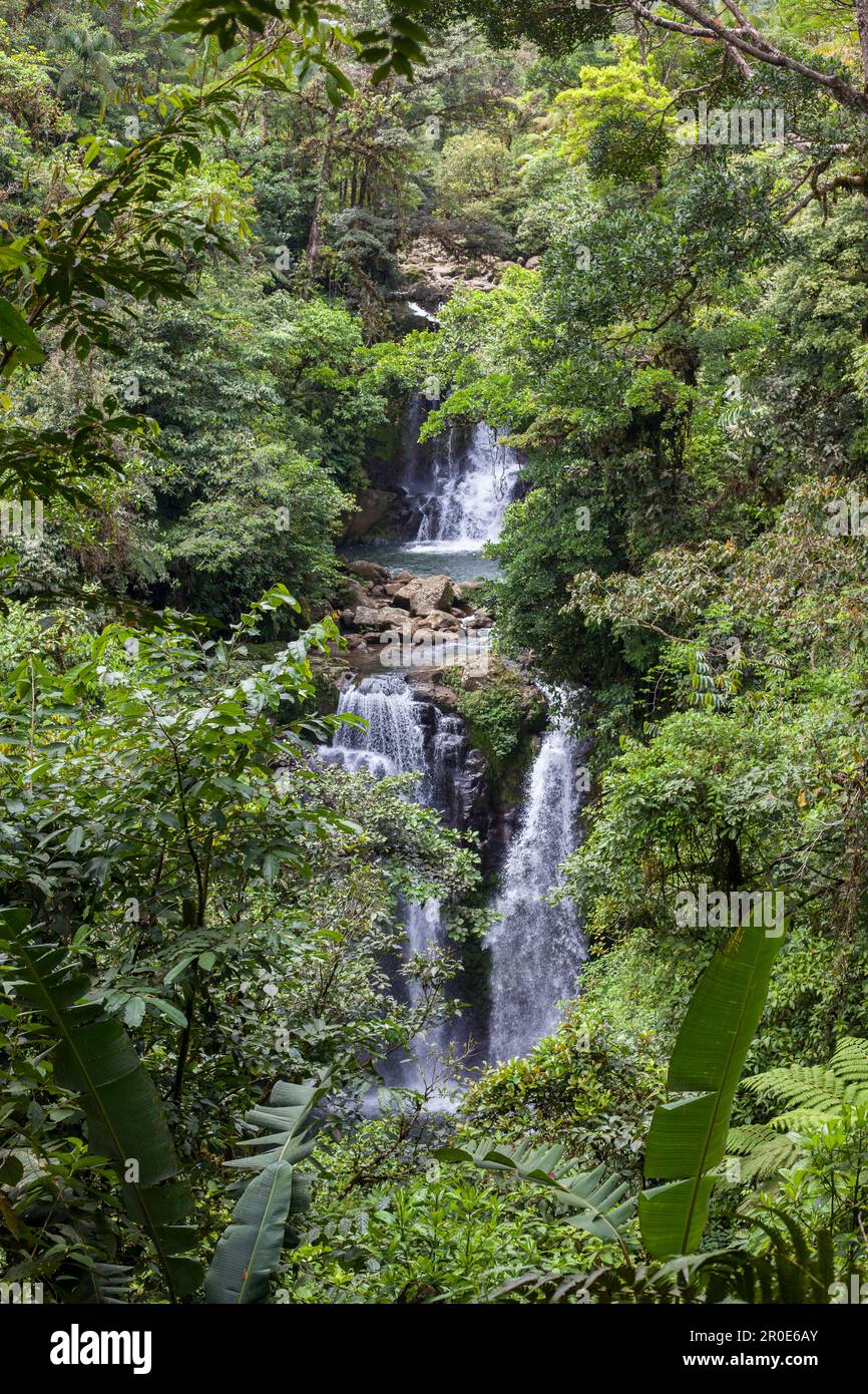 Der Wasserfall in der Nähe der Rara Avis Lodge im Regenwald, Costa Rice, Mittelamerika Stockfoto