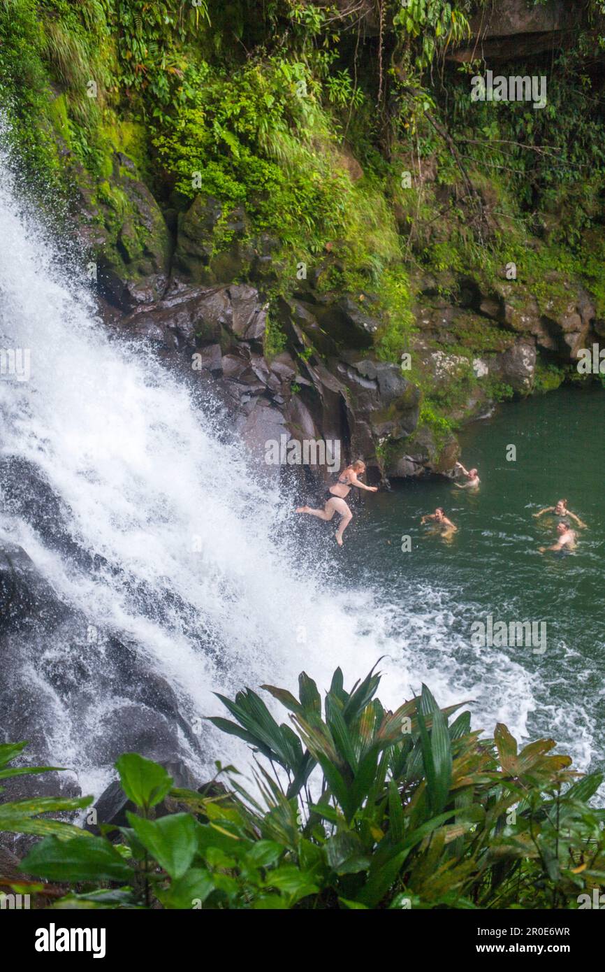 Ein Wasserfall in der Nähe der Rara Avis Lodge mit Lodge-Besuchern, die im See, Costa Rica, Mittelamerika schwimmen Stockfoto