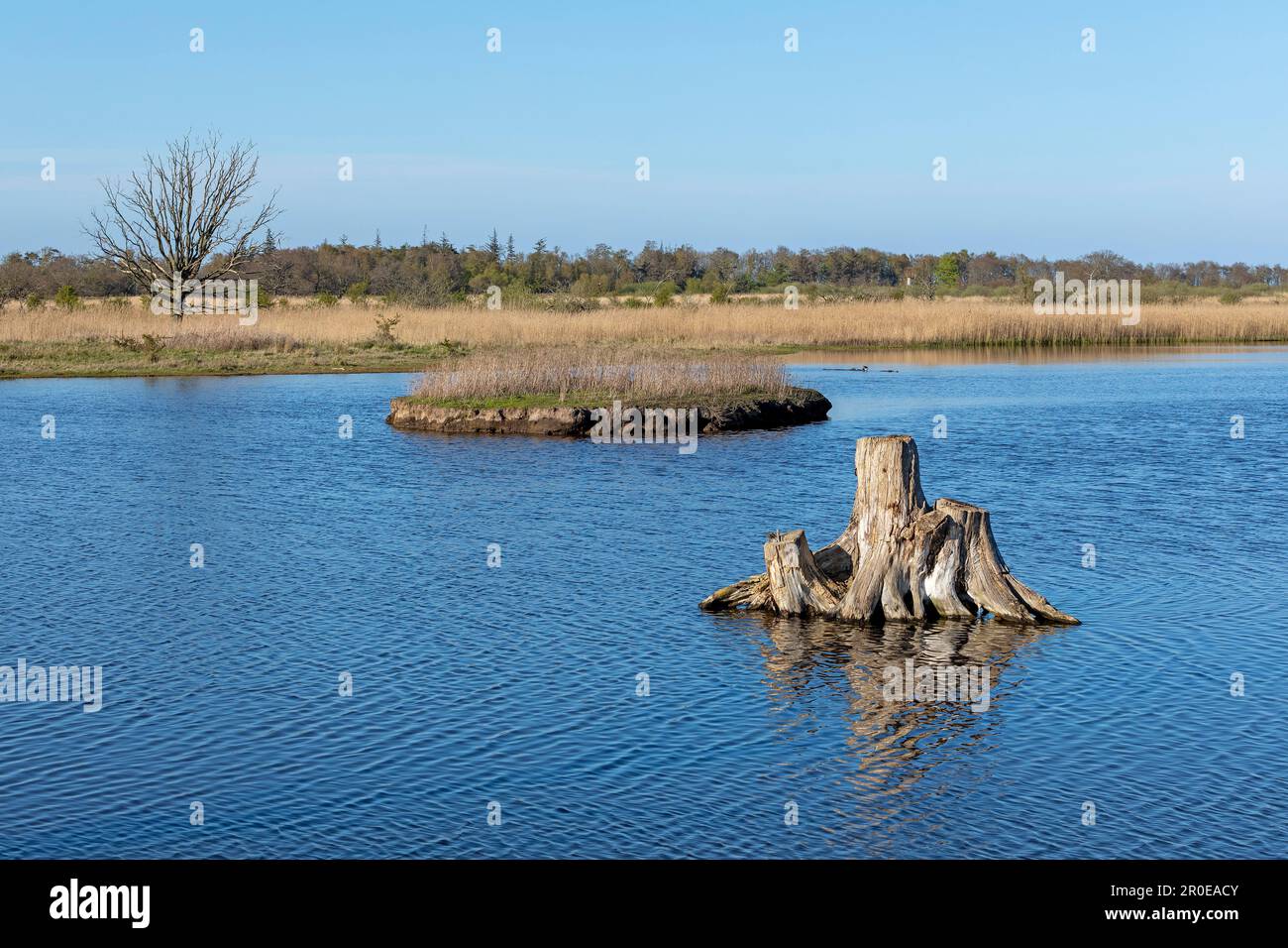 Kontrollierte Wassergewinnung, große Lagune, Geltinger Birk, Schleswig-Holstein, Deutschland Stockfoto