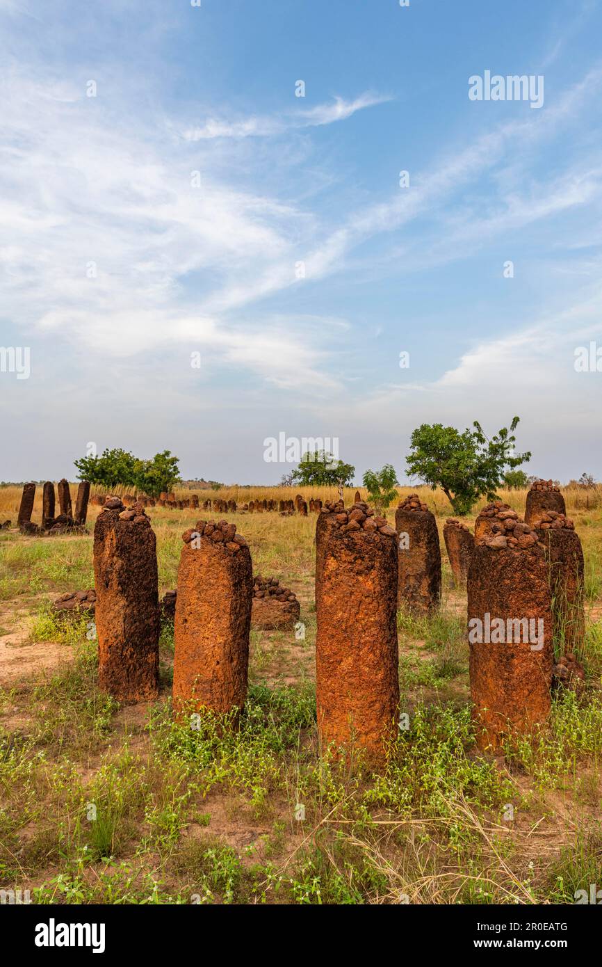 UNESCO-Weltkulturerbe Senegambianische Steinkreise, Wassu, Gambia Stockfoto
