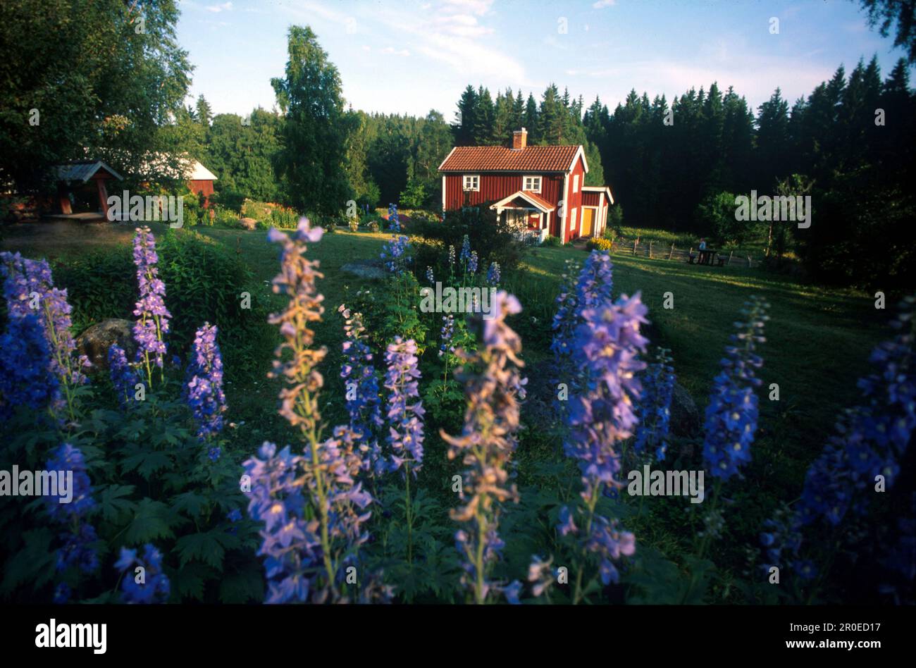 Hof Katthult, Drehplatz des, Michel aus Loenneberga, Gibberyd Smaland, Schweden Stockfoto