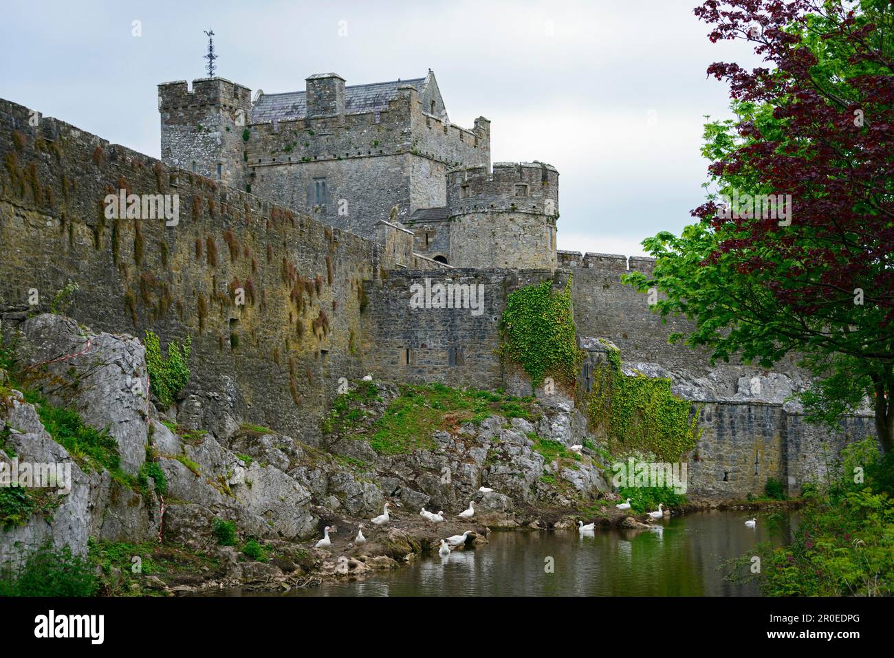 Cahir Castle, Cahir, Irland Stockfoto