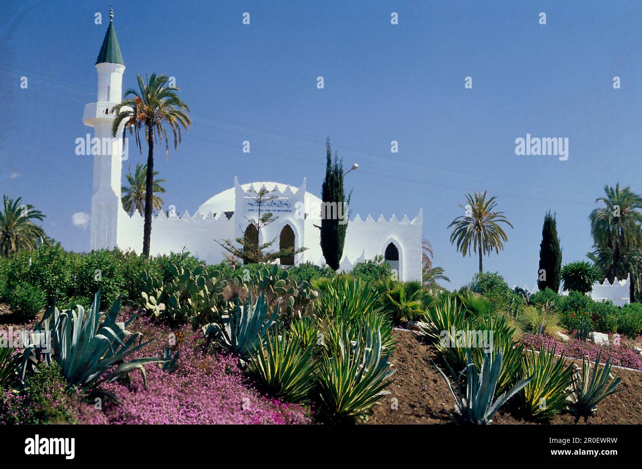 Moschee des Koenig Abdul Aziz al Saud, Marbella, Provinz Malaga Andalusien, Spanien Stockfoto