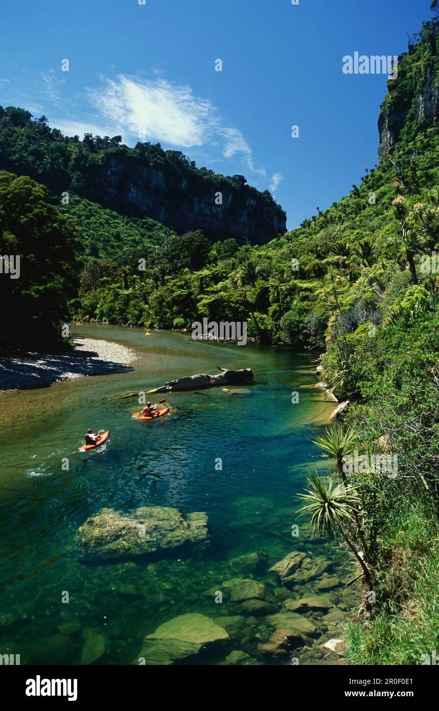 Kajakfahren, Pororari River, Paparoa National Park, Südinsel, Neuseeland Stockfoto