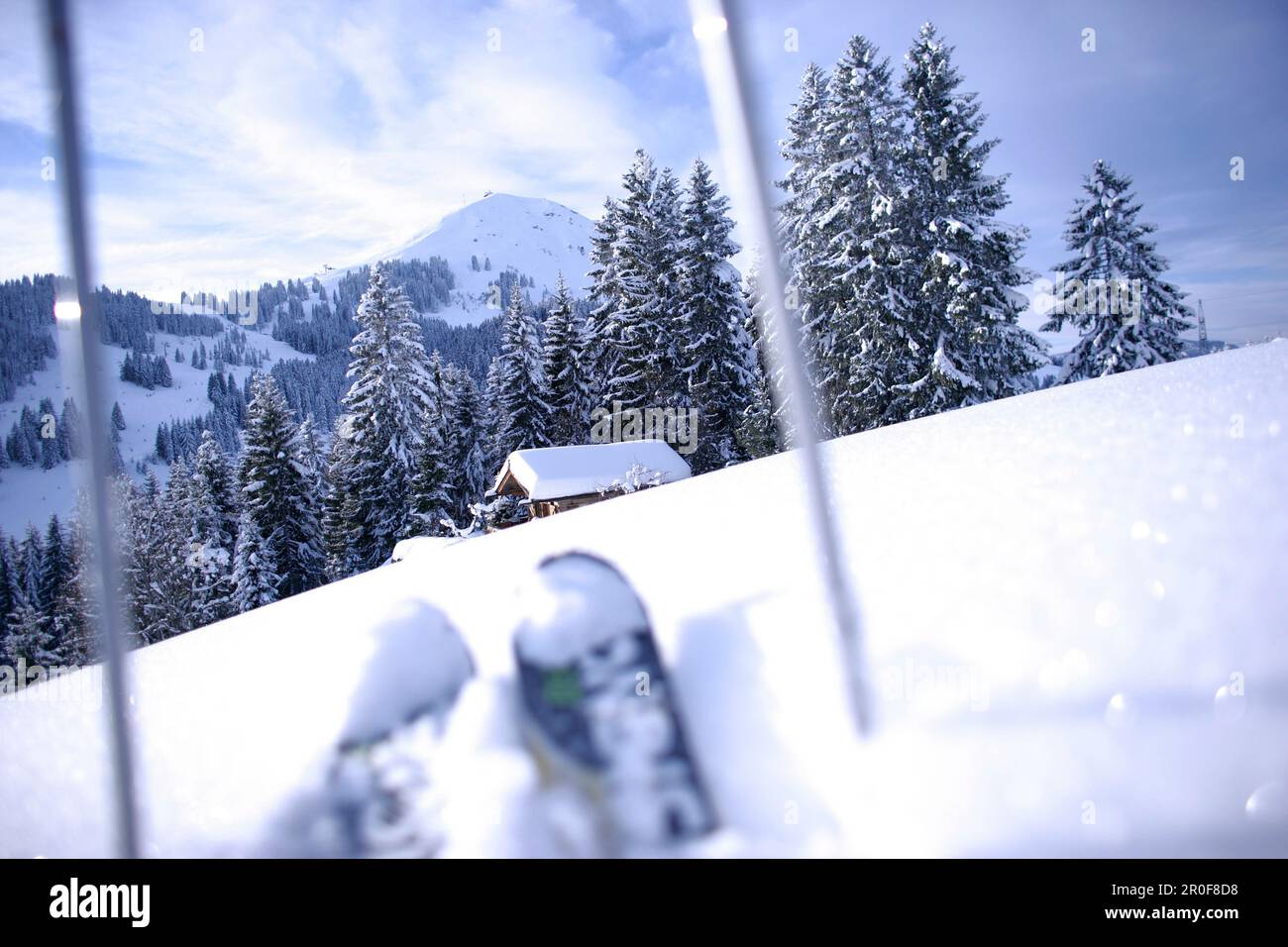 Skitour, Hohe Salve, Skifahren Bereich Brixen Im Thale, Tirol, Österreich Stockfoto