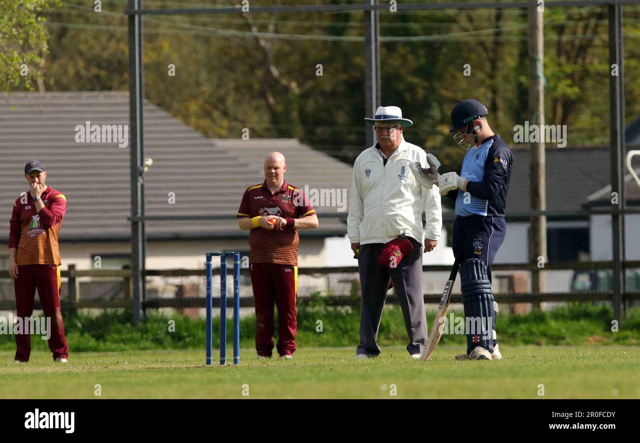 Bronwydd CC / Britton Ferry CC 2023 Stockfoto