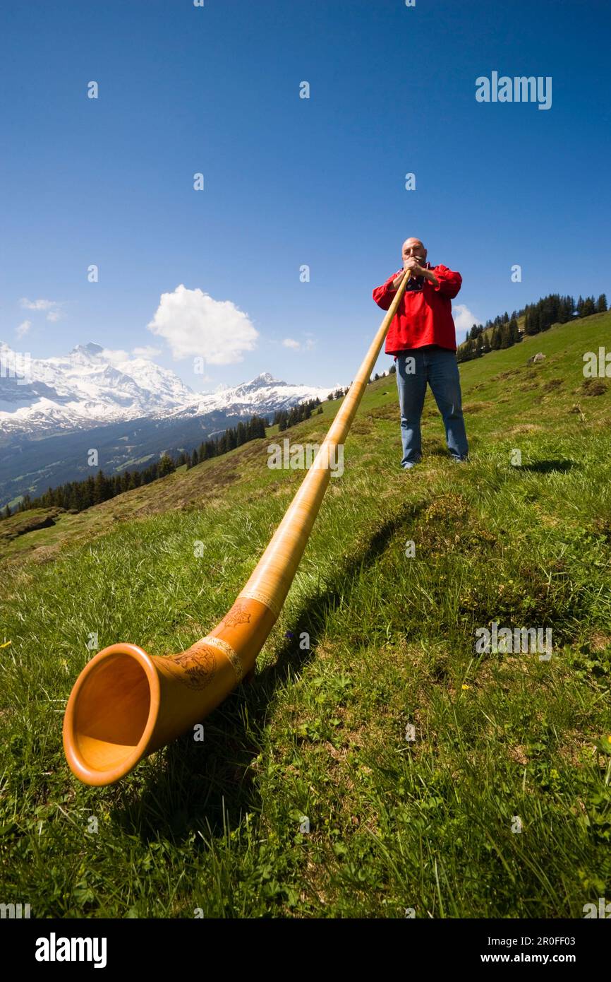 Ein Mann spielt ein Alphorn in Bussalp (1800 m), Grindelwald, Berner Oberland (Hochland), Kanton Bern, Schweiz Stockfoto