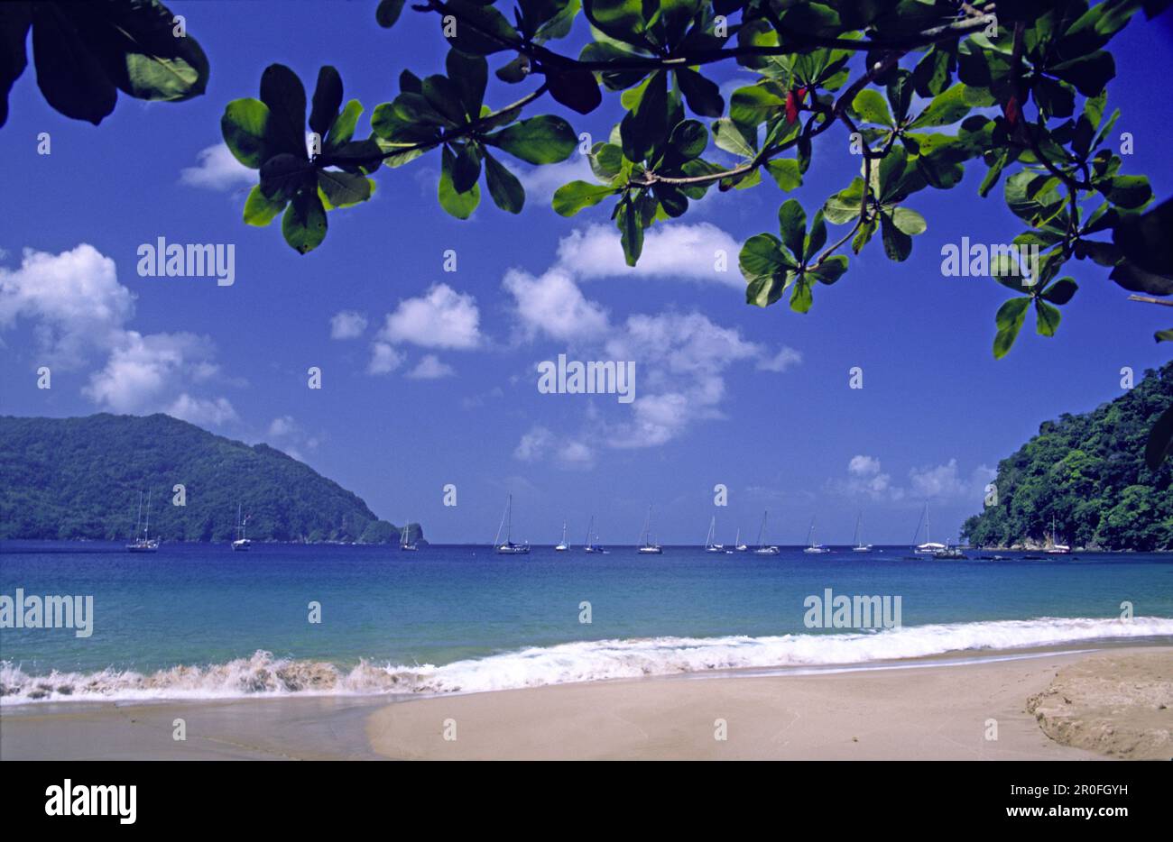 Tobago, Charlotteville, man of war Bay, Beach Stockfoto