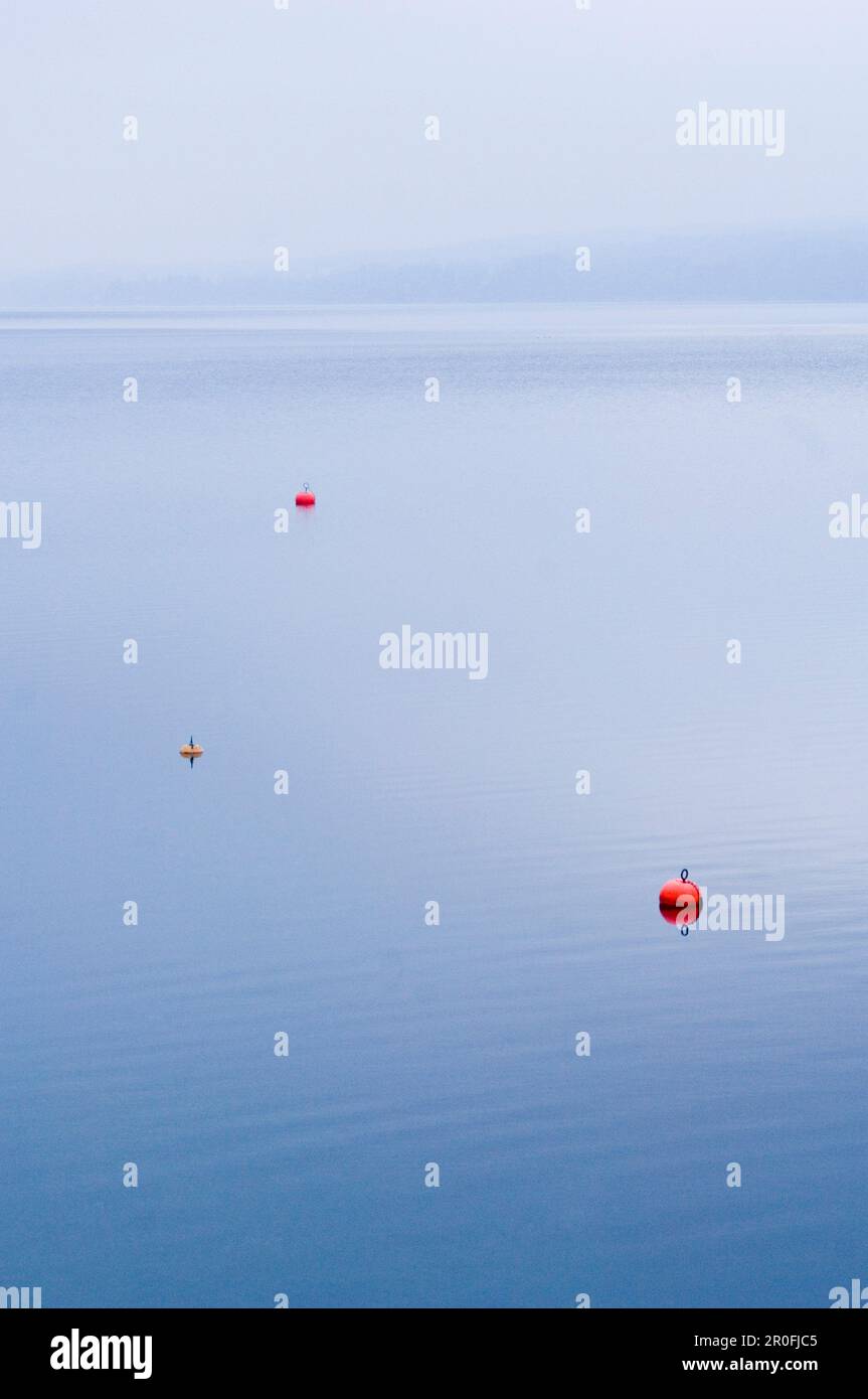 Bojen am Starnberger See, Bayern, Deutschland Stockfoto