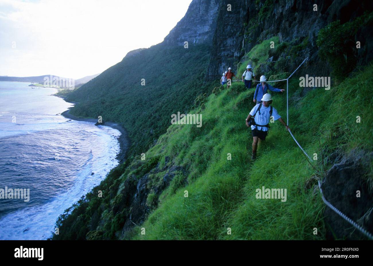 Wanderungen auf der Lower Road, einem freiliegenden Abschnitt am Anfang des Aufstiegs zum Mt. Gower, Lord Howe Island, Australien Stockfoto