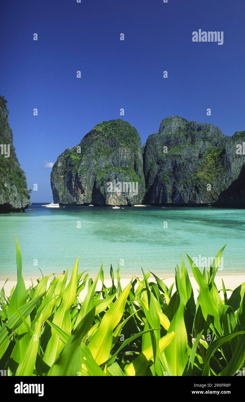 Maya Bay auf der kleinen Insel von Kho Phi Phi Lee in Süd-Thailand Stockfoto
