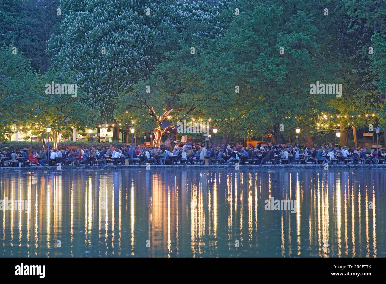 Die Bewohner genießen sich abends im Biergarten Seehaus am Kleinhesseloher See, Englischer Garten, München, Bayern, Deutschland Stockfoto