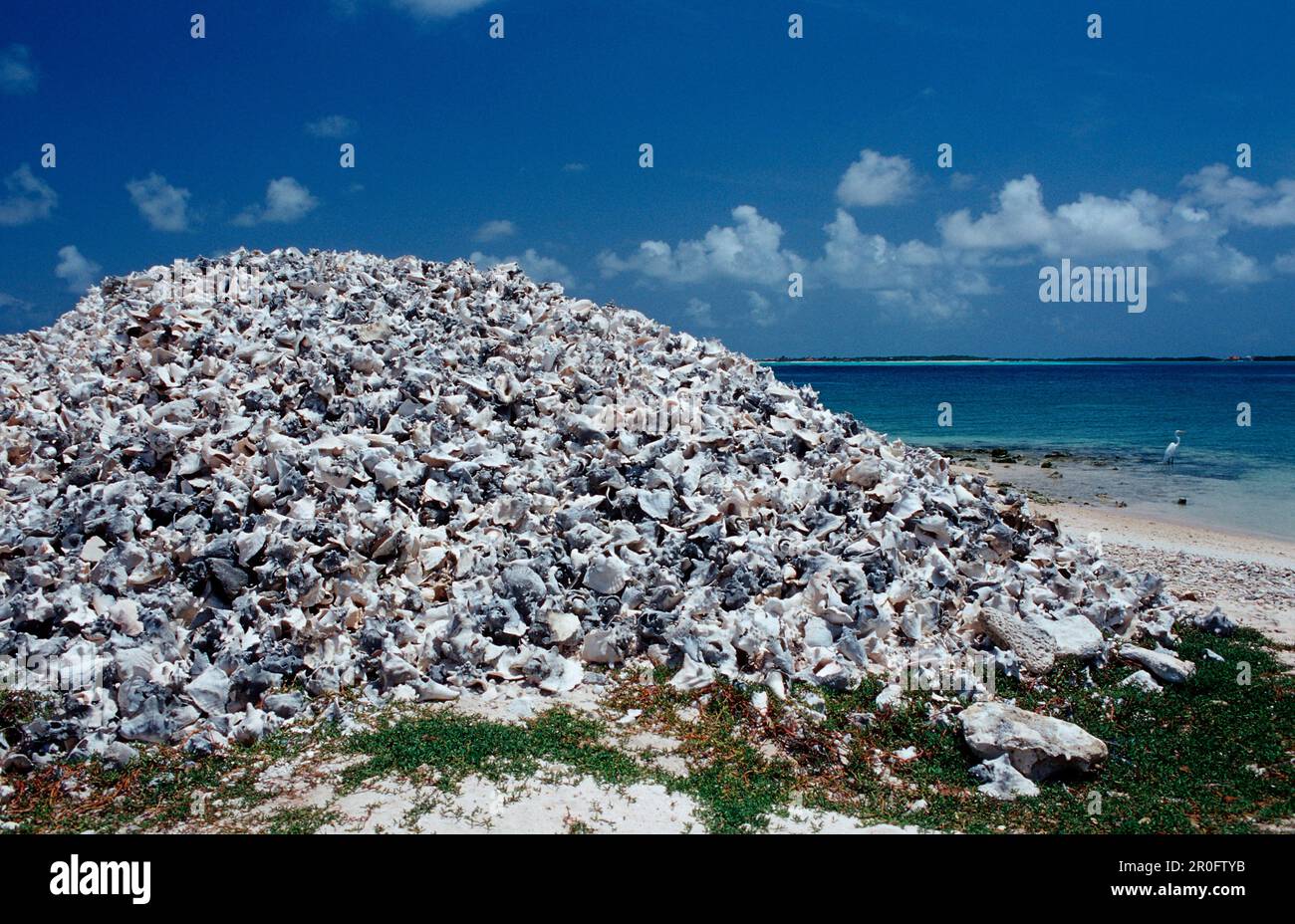 Muschelhäuser am Strand, Niederländische Antillen, Bonaire, Bonaire Stockfoto