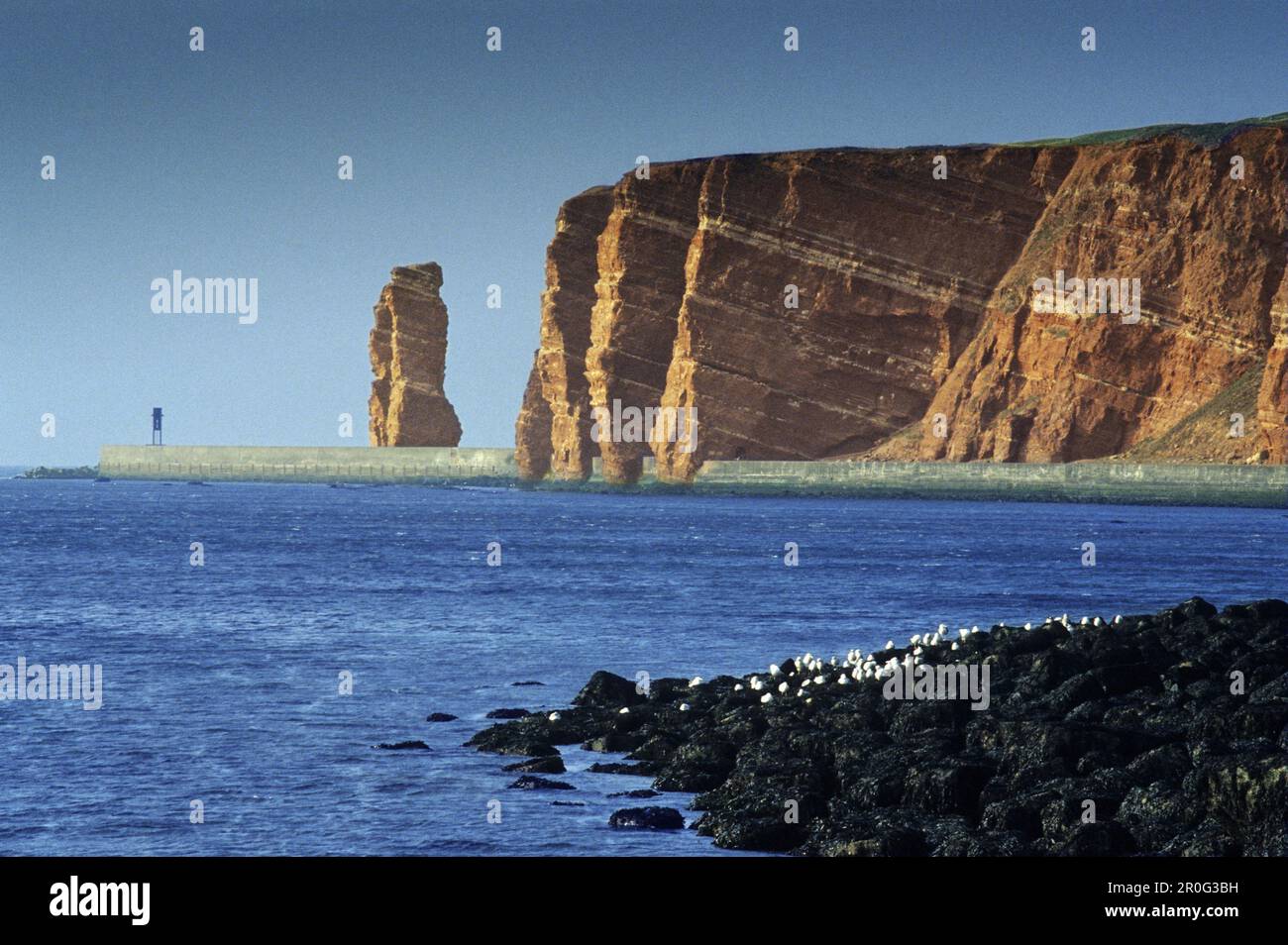 Rock lange Anna, Insel Helgoland, Schleswig-Holstein, Deutschland Stockfoto