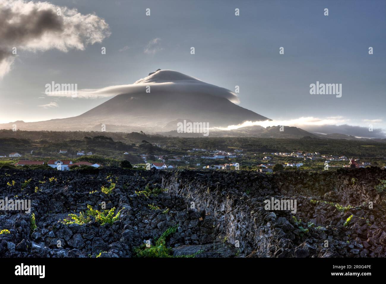 Pico Island Weinberge, Unesco-Weltkulturerbe, Pico Island, Azoren, Portugal Stockfoto