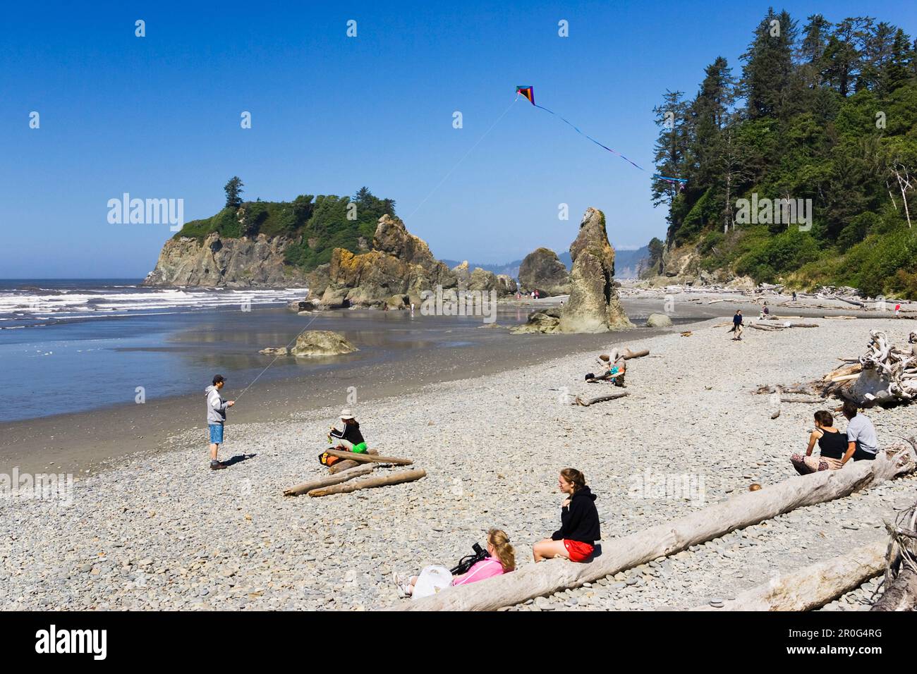 Westküste, Pazifikküste, Olympic Halbinsel, Washington, USA Stockfoto