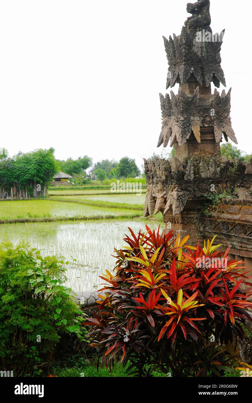 Details des Pura Beji Tempels vor dem Reisfeld, Sangsit, Nordbali, Indonesien, Asien Stockfoto