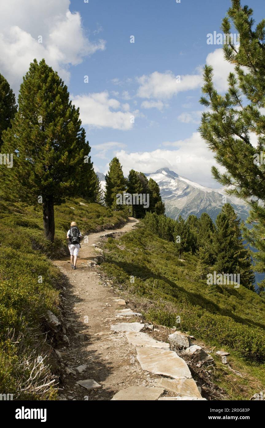 Wanderer im Wandergebiet Speikboden, Sand in Taufers, Tauferer Tal, Südtirol, Italien Stockfoto